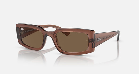 RAYBAN KILIANE TRANSPARENT BROWN W/ DARK BROWN