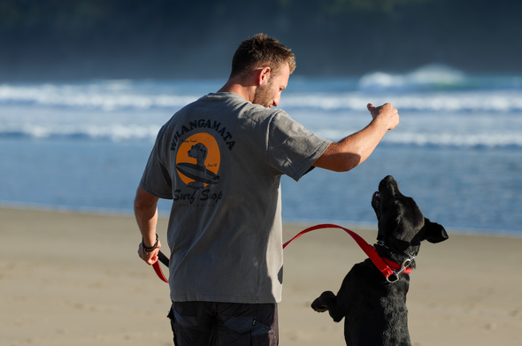 WHANGAMATA SURF SHOP HEAVY SURF DOG TEE - FADED GREY